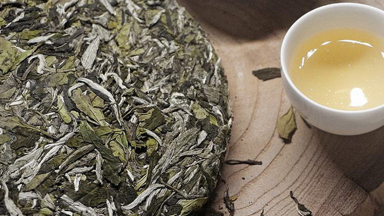 福鼎白茶