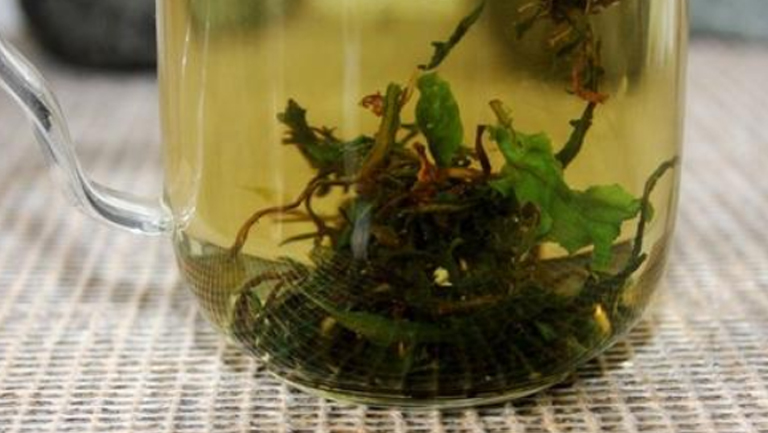 苦菜茶