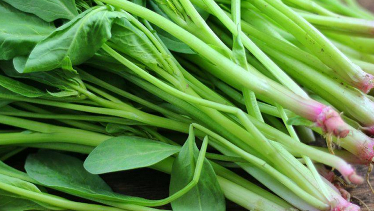 菠菜根