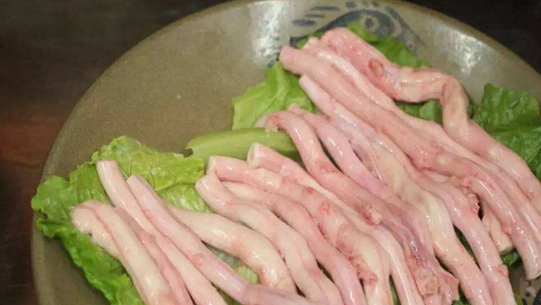 猪脊髓