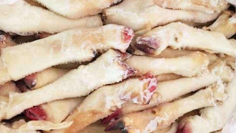 羊蹄子