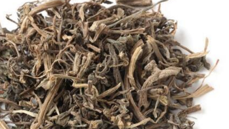 马齿苋茶