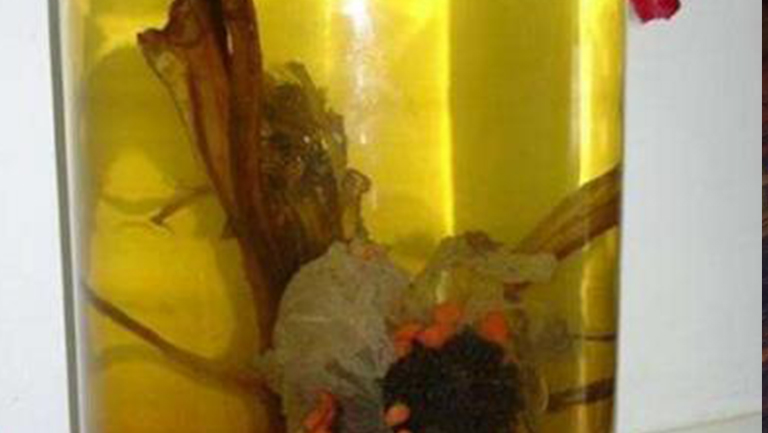 雪莲花泡酒