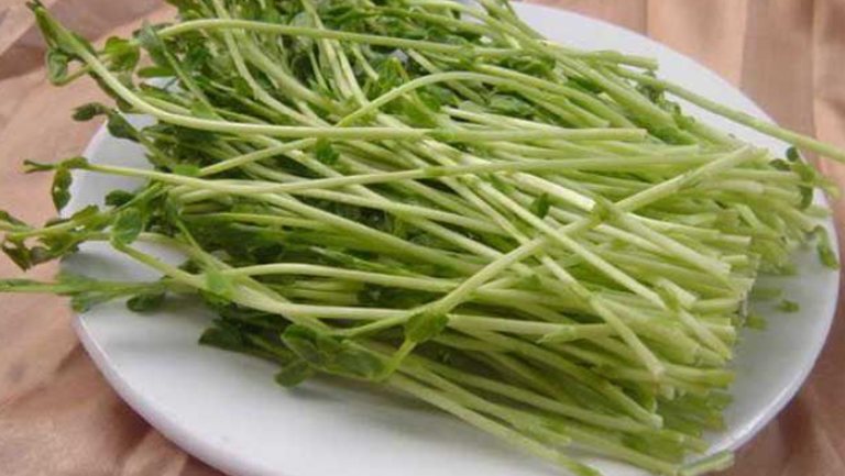 豌豆芽