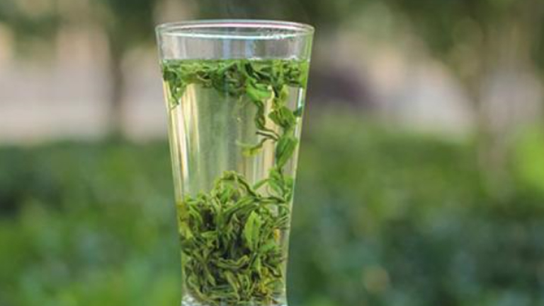 高山绿茶