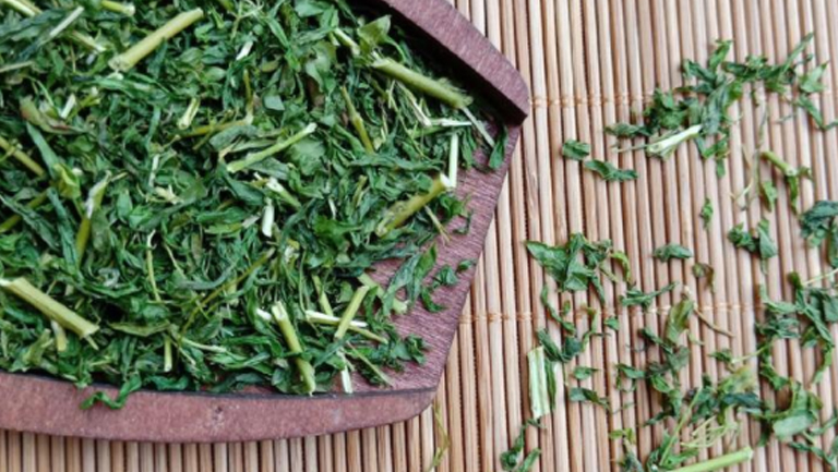 相思茶