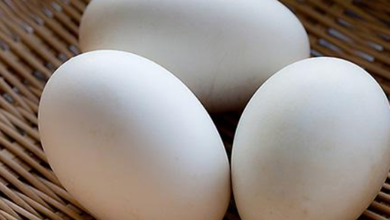 水煮鹅蛋