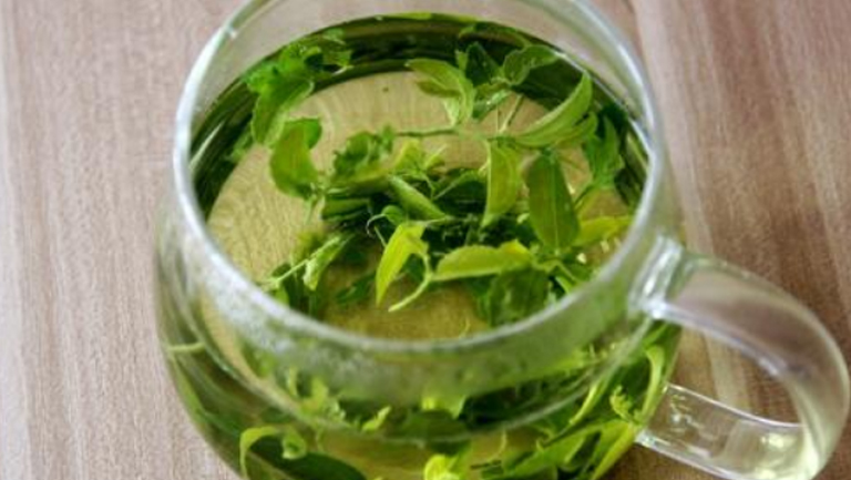 酸枣叶茶