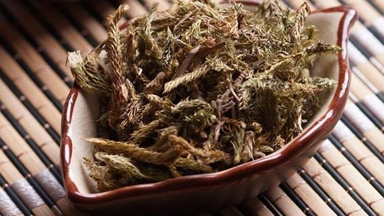 伸筋草