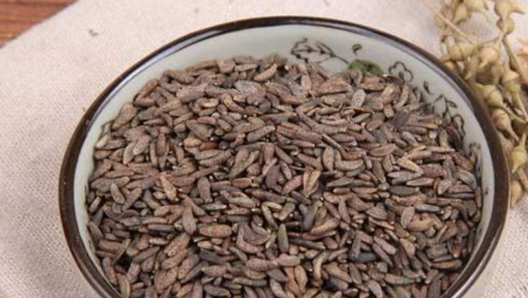 牛蒡子泡茶