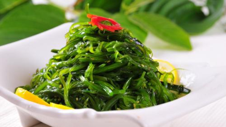 裙带菜