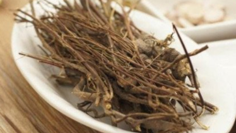 鸡骨草泡水