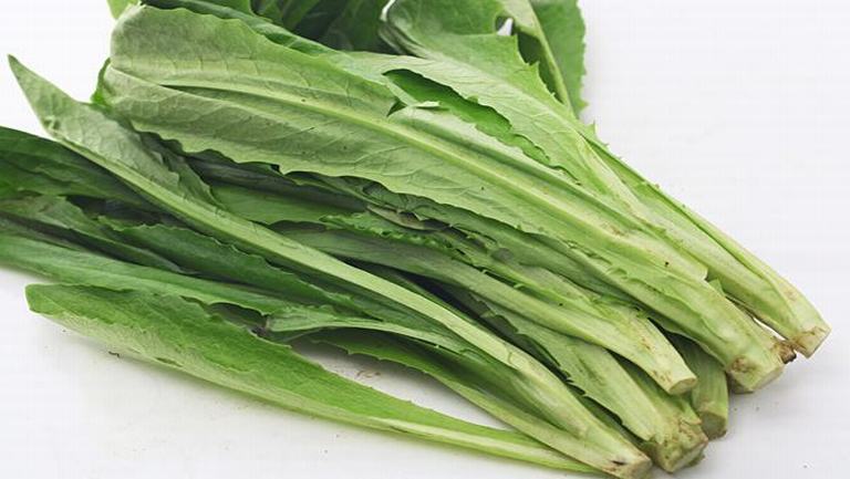 油麦菜