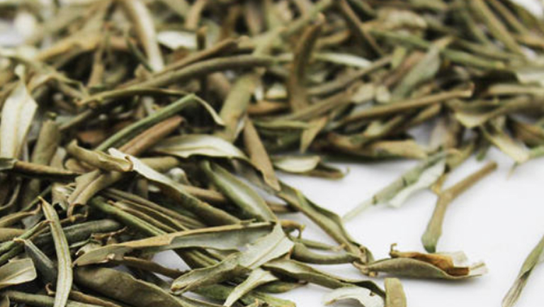 沙棘叶茶