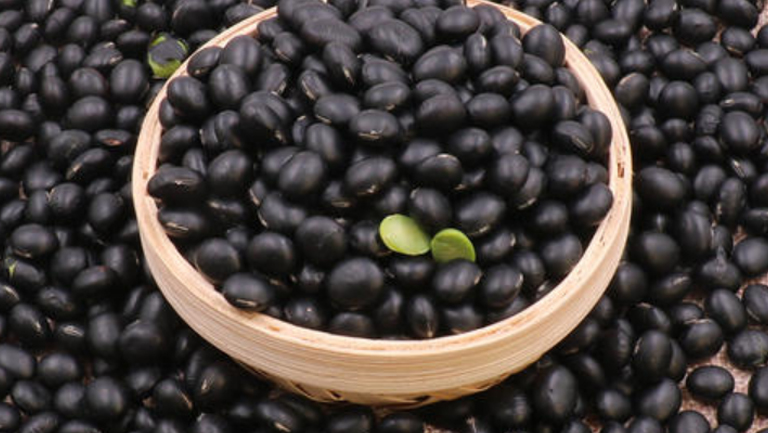 大黑豆