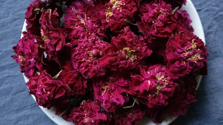 玫瑰花冠
