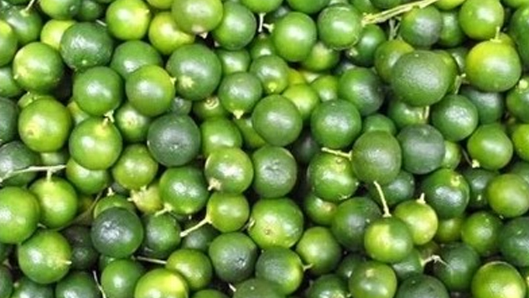 小青柠檬