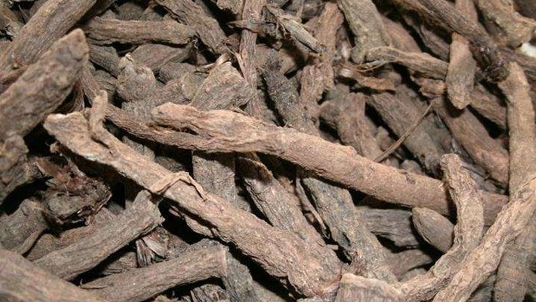 独脚仙茅