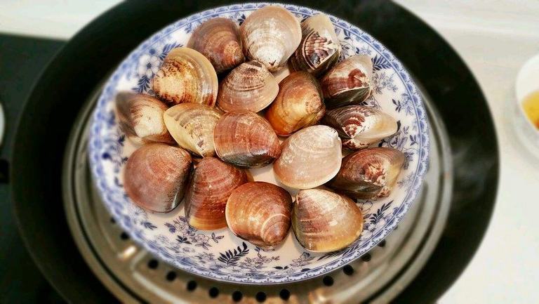 海贝