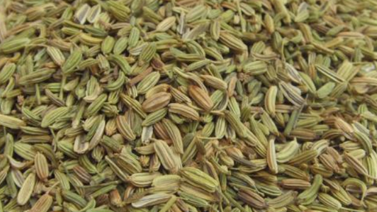 茴香籽
