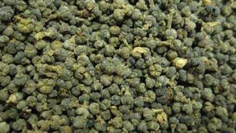 制吴茱萸