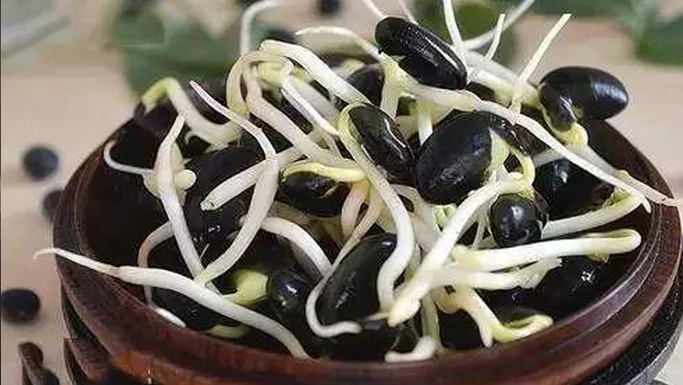 黑豆芽