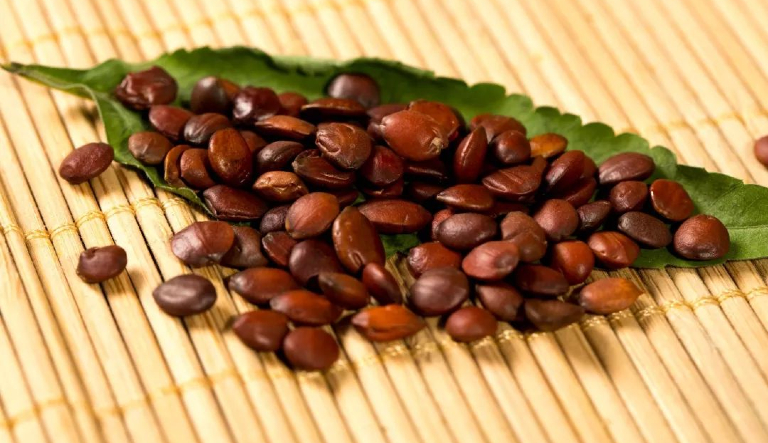 红枣仁