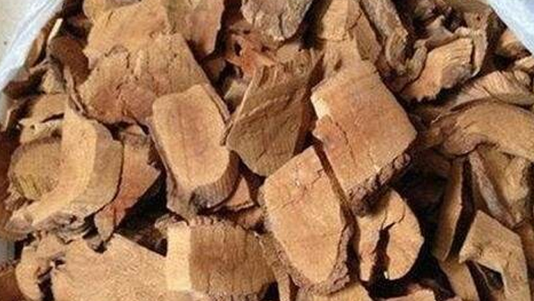 枇杷根