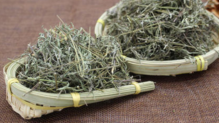 香薷草