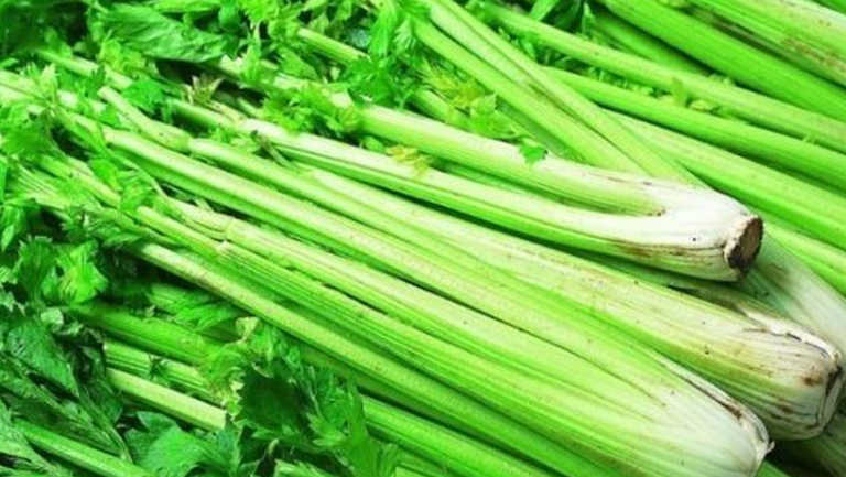 西芹菜