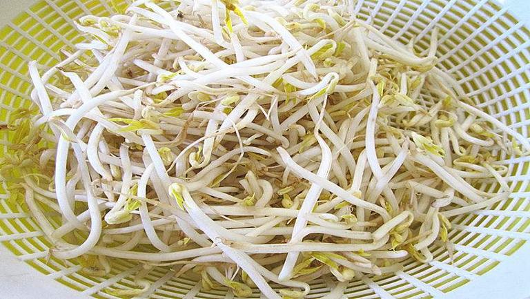 绿豆芽