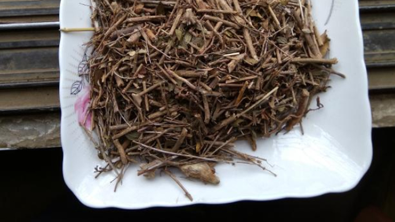 白马骨