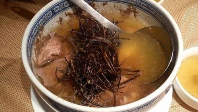 鸡骨草土茯苓汤