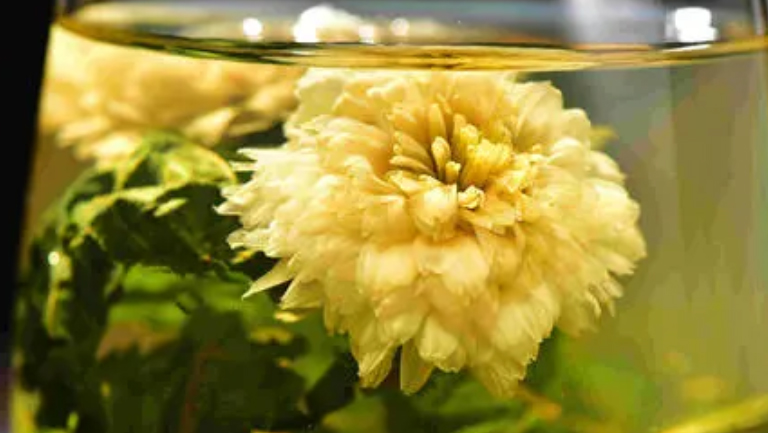 桑叶菊花茶