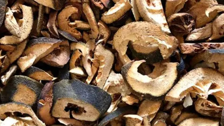 蜜麸炒枳壳
