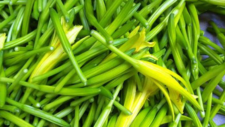 针菜
