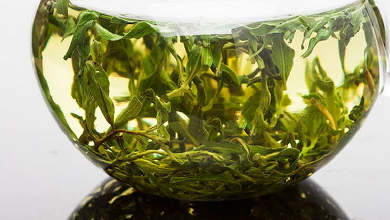 枸杞叶茶