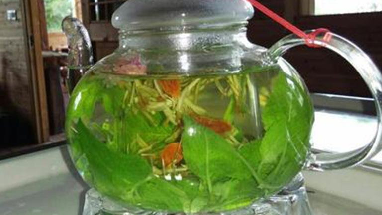 枸杞薄荷泡茶