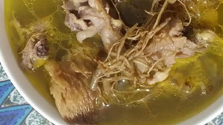田七煲鸡汤