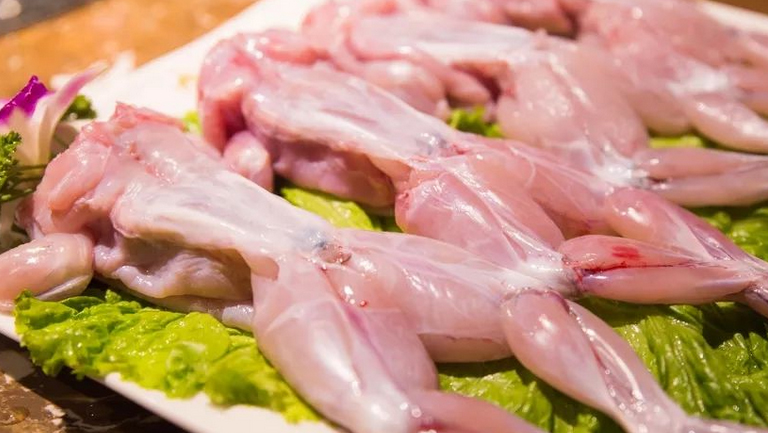 蛙肉