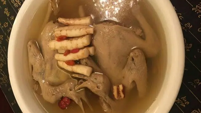 人参鸽子汤