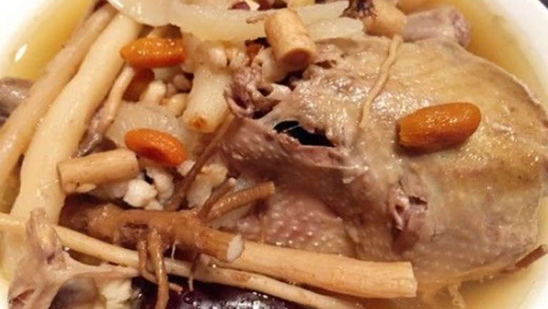 人参炖鸽子