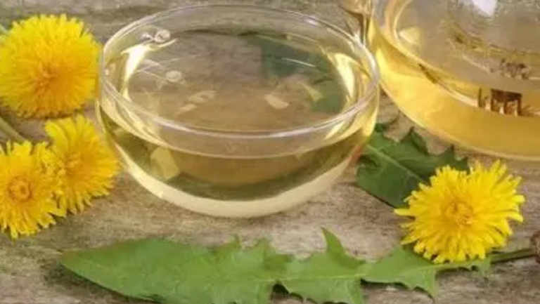 蒲公英加菊花茶