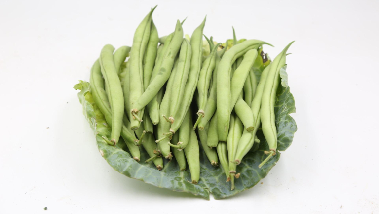 四季豆