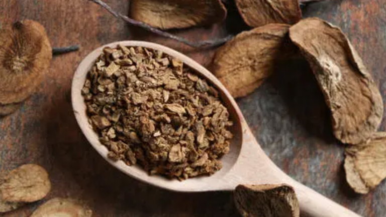 牛蒡根茶