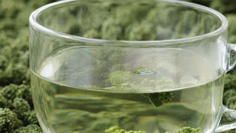 三七花泡水喝