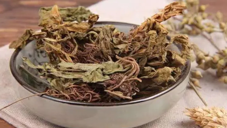 麻黄附子细辛汤