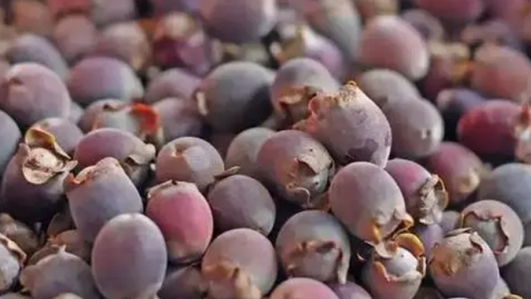 地菍果泡酒