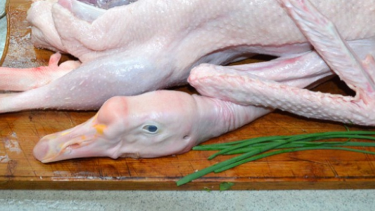 老鹅肉