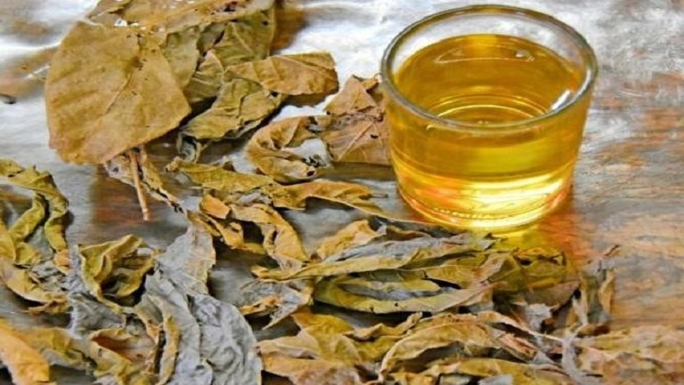 鹧鸪茶